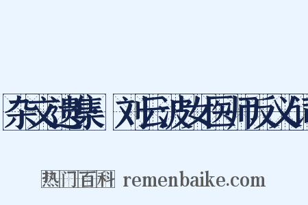杂文遗集·刘云波女医师反义词是什么意思的图片